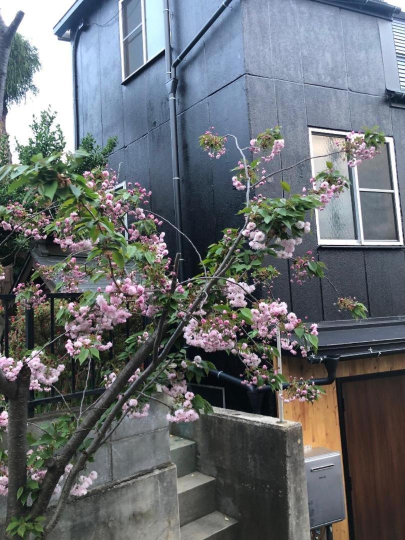 Sakura House Villa Nagano Exterior photo